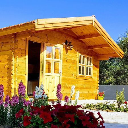 מלון Agios Theodoros Cyprus Glamping Park מראה חיצוני תמונה
