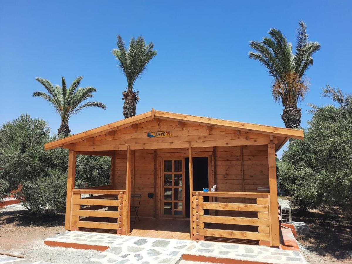 מלון Agios Theodoros Cyprus Glamping Park מראה חיצוני תמונה