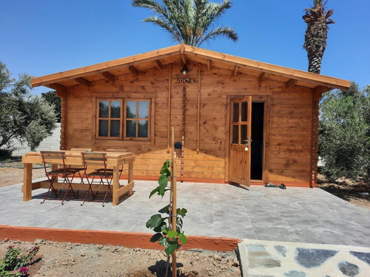 מלון Agios Theodoros Cyprus Glamping Park מראה חיצוני תמונה