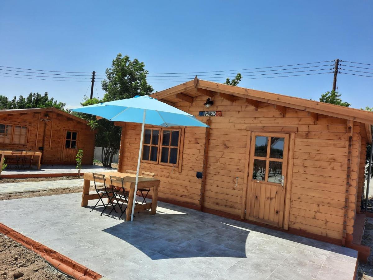 מלון Agios Theodoros Cyprus Glamping Park מראה חיצוני תמונה
